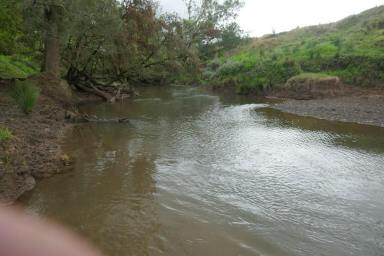 Mixed Farming For Sale - NSW - Lismore - 2480 - NORTH COAST BREEDER PROPERTY  (Image 2)