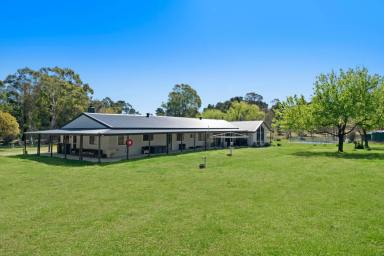 Lifestyle For Sale - NSW - Tallong - 2579 - Country Charm & Modern Convenience  (Image 2)