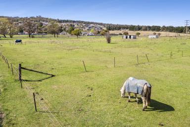 Other (Rural) Sold - NSW - Goulburn - 2580 - "ACREAGE AVAILABLE IN THE HEART OF GOULBURN TOWNSHIP"  (Image 2)