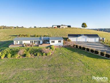 House For Sale - TAS - Wynyard - 7325 - Luxury Farm Life with Breathtaking Coastal Views on 105 acres (approx.)  (Image 2)