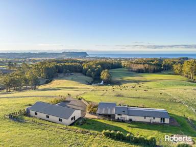 House For Sale - TAS - Wynyard - 7325 - Luxury Farm Life with Breathtaking Coastal Views on 105 acres (approx.)  (Image 2)