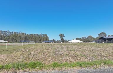 Residential Block For Sale - NSW - Brimbin - 2430 - Ready To Build!  (Image 2)