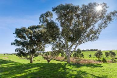 Other (Rural) For Sale - VIC - Freshwater Creek - 3217 - Stunning Exclusive Location on the Surf Coast  (Image 2)