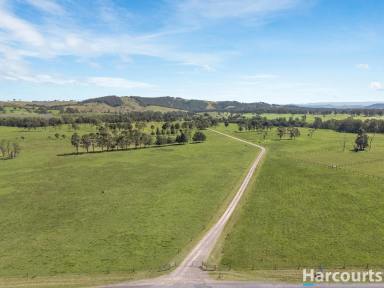 Acreage/Semi-rural Sold - NSW - Glen Martin - 2321 - Rich Grazing Land, River Frontage & Lifestyle Opportunity Awaits!  (Image 2)