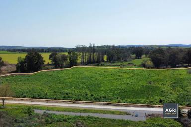 Other (Rural) For Sale - NSW - Canowindra - 2804 - 5.33 acres of high productive land, located in the heart of Canowindra!  (Image 2)