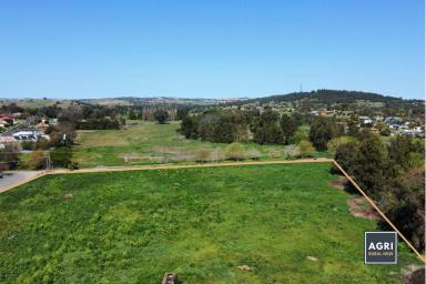 Other (Rural) For Sale - NSW - Canowindra - 2804 - 5.33 acres of high productive land, located in the heart of Canowindra!  (Image 2)