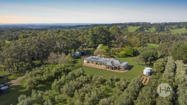 Acreage/Semi-rural For Sale - VIC - Merricks North - 3926 - 12 Acres with Olive Grove, Farm Stay Cottage, and Stylish Limestone Residence  (Image 2)