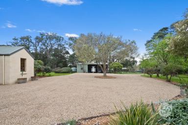 Acreage/Semi-rural For Sale - VIC - Merricks North - 3926 - 12 Acres with Olive Grove, Farm Stay Cottage, and Stylish Limestone Residence  (Image 2)