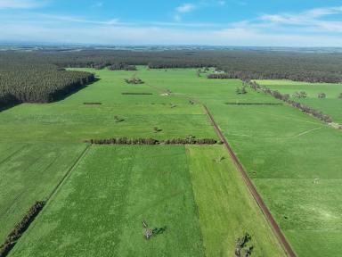 Dairy For Sale - VIC - Carpendeit - 3260 - QUALITY COLAC – COBDEN DISTRICT PROPERTY  (Image 2)