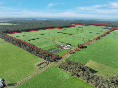 Dairy For Sale - VIC - Carpendeit - 3260 - QUALITY COLAC – COBDEN DISTRICT PROPERTY  (Image 2)