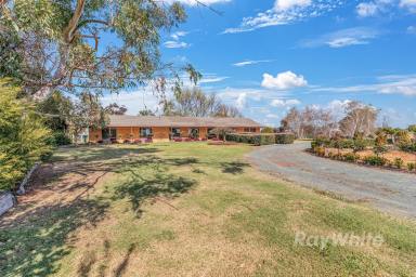 Cropping For Sale - VIC - Ballendella - 3561 - Secluded Country Gem  (Image 2)