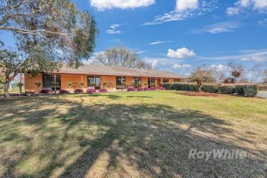 Cropping For Sale - VIC - Ballendella - 3561 - Secluded Country Gem  (Image 2)