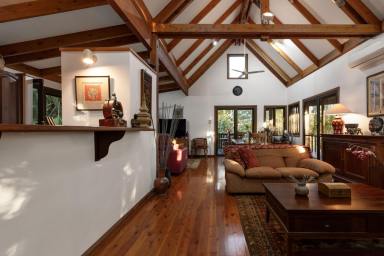 House Sold - QLD - Ridgewood - 4563 - Timber-Crafted Paradise in the Noosa Hinterland  (Image 2)