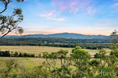 Lifestyle For Sale - NSW - Lovedale - 2325 - MANZANILLA RIDGE LOVEDALE – A Unique Lifestyle Investment  (Image 2)