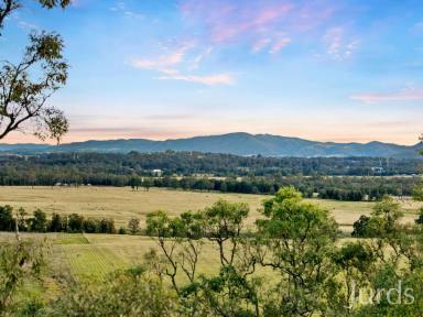 Lifestyle For Sale - NSW - Lovedale - 2325 - MANZANILLA RIDGE LOVEDALE – A Unique Lifestyle Investment  (Image 2)