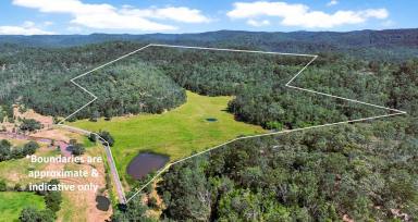 Lifestyle For Sale - NSW - Wollombi - 2325 - Prime Wollombi Acreage!  (Image 2)