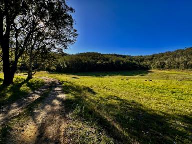 Lifestyle For Sale - NSW - Wollombi - 2325 - Prime Wollombi Acreage!  (Image 2)