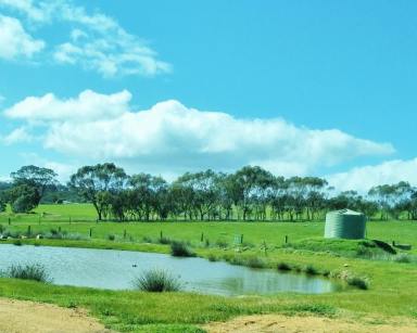 Lifestyle For Sale - WA - Wandering - 6308 - 100 Acre's of Prime Farm Land  (Image 2)