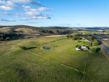 Other (Rural) Auction - NSW - Oberon - 2787 - “Ridgeview” Oberon Land Bank (35 Hectares - 87 Acres*)  (Image 2)