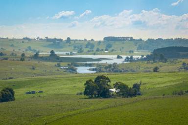 Other (Rural) Auction - NSW - Oberon - 2787 - “Mount Norway” 114.3 Hectares - 282.4 Acres*  (Image 2)