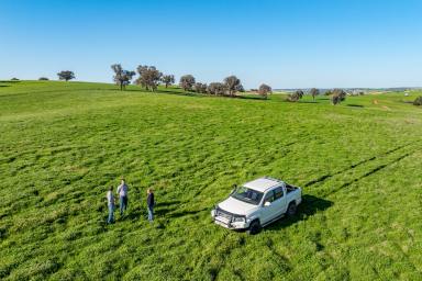 Mixed Farming For Sale - NSW - Greenethorpe - 2809 - RENT+BUY ARRANGEMENT AVAILABLE – IMMEDIATE ACCESS!  (Image 2)