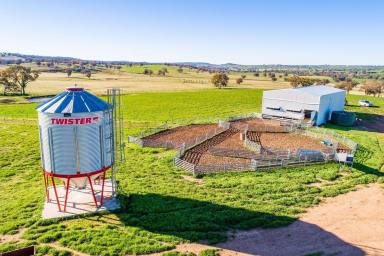 Mixed Farming For Sale - NSW - Greenethorpe - 2809 - EXCELLENT FARMING & GRAZING COUNTRY!  (Image 2)