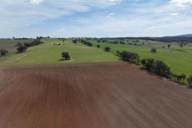 Mixed Farming For Sale - NSW - Greenethorpe - 2809 - Productive mixed farming & grazing property! (Image 2)