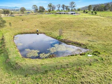 Acreage/Semi-rural For Sale - NSW - Cobargo - 2550 - VILLAGE LIFESTYLE  (Image 2)