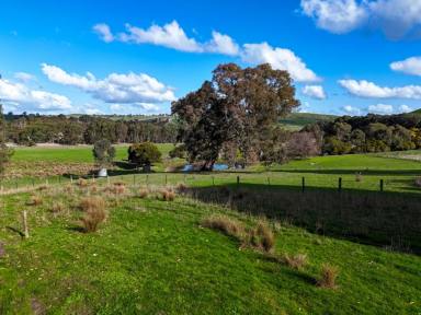 Mixed Farming Auction - VIC - Gritjurk - 3315 - AUCTION - October 18th, 2024 @ 11 am on site : "Calton Hill"  -  709.86 Ac – 287.27 Ha approx.  (Image 2)