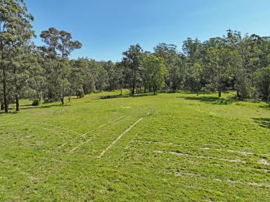 Lifestyle For Sale - NSW - Coopernook - 2426 - Space To Build Your Dream Home...  (Image 2)