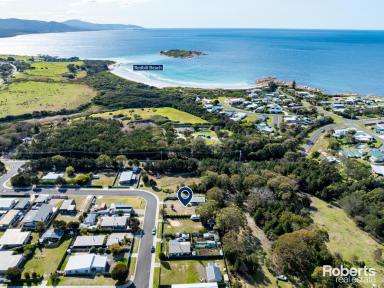 Residential Block Sold - TAS - Bicheno - 7215 - What a Weekender! Walk to Redbill Beach + Room to Build  (Image 2)