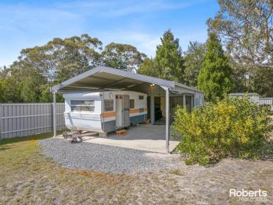 Residential Block Sold - TAS - Bicheno - 7215 - What a Weekender! Walk to Redbill Beach + Room to Build  (Image 2)