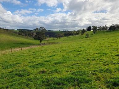 Lifestyle For Sale - VIC - Jancourt - 3266 - 36.62 Ha - 90.5 Ac  (Image 2)