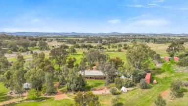 Lifestyle For Sale - NSW - Tamworth - 2340 - LIFESTYLE LIVING OH SO CLOSE TO TOWN  (Image 2)