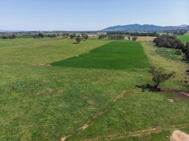 Mixed Farming Sold - NSW - Calala - 2340 - Highly Sought-After Grazing & Lifestyle Opportunity  (Image 2)