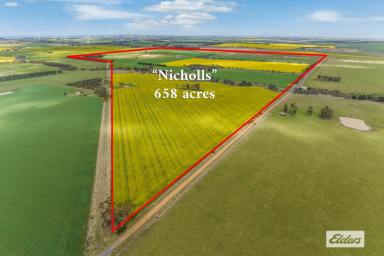 Mixed Farming For Sale - VIC - Buangor - 3375 - 'Nicholls & 'Fays' Quality Western District Cropping & Grazing  (Image 2)