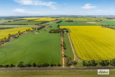 Mixed Farming For Sale - VIC - Buangor - 3375 - 'Nicholls & 'Fays' Quality Western District Cropping & Grazing  (Image 2)