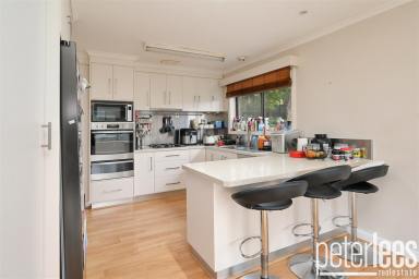 House For Sale - TAS - Riverside - 7250 - Elevated Riverside Residence with Tamar River Views  (Image 2)