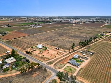 Cropping For Sale - VIC - Merbein - 3505 - Redevelopment Opportunity.  (Image 2)