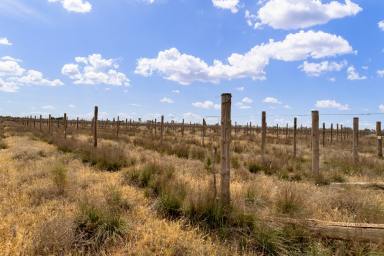 Cropping For Sale - VIC - Merbein - 3505 - Redevelopment Opportunity.  (Image 2)