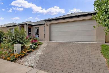 House For Sale - VIC - Mildura - 3500 - Beautiful four-bedroom family home  (Image 2)