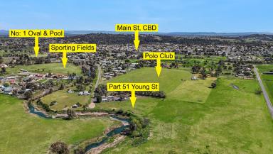 Lifestyle For Sale - NSW - Quirindi - 2343 - LIFESTYLE ACRES WITH CREEK FRONTAGE  (Image 2)