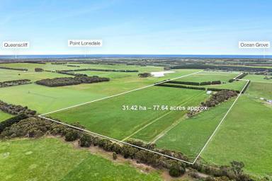 Other (Rural) For Sale - VIC - Mannerim - 3222 - Peace, Productivity and Proximity on the Bellarine  (Image 2)