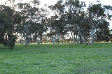 Cropping For Sale - WA - Mogumber - 6506 - 3374 Mogumber Road West, Mogumber  (Image 2)