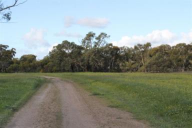 Cropping For Sale - WA - Mogumber - 6506 - 3374 Mogumber Road West, Mogumber  (Image 2)