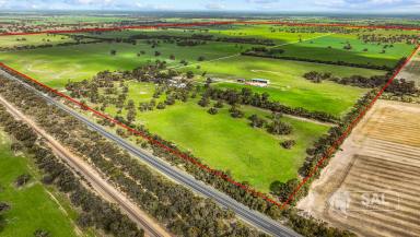 Cropping For Sale - SA - Keith - 5267 - More Rain Downs  (Image 2)