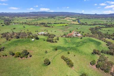 Residential Block For Sale - QLD - Gilldora - 4570 - MARY VALLEY'S FINEST  (Image 2)