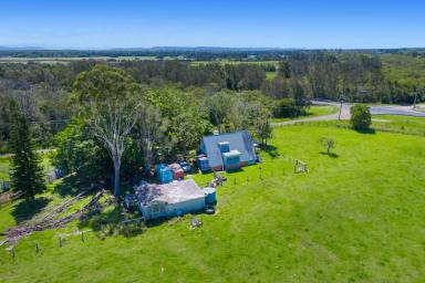 Other (Rural) For Sale - NSW - Fernbank Creek - 2444 - BUILD YOUR RURAL RETREAT ON THIS HUGE PARCEL OF LAND  (Image 2)