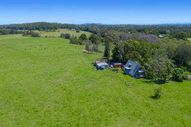 Other (Rural) For Sale - NSW - Fernbank Creek - 2444 - BUILD YOUR RURAL RETREAT ON THIS HUGE PARCEL OF LAND  (Image 2)