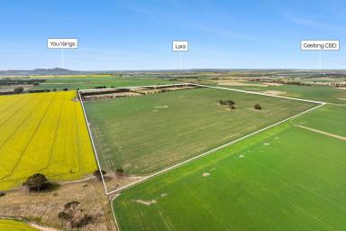 Cropping For Sale - VIC - Anakie - 3213 - "Green Fields"  (Image 2)